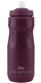 Image LSG Bouteille isolée 24oz PRUNE